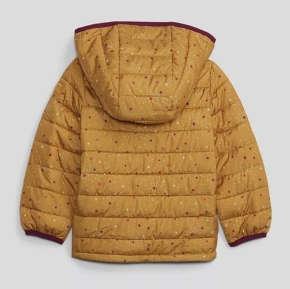 Toddler Gap Kids Coat Size 2T - Picture 2 of 6